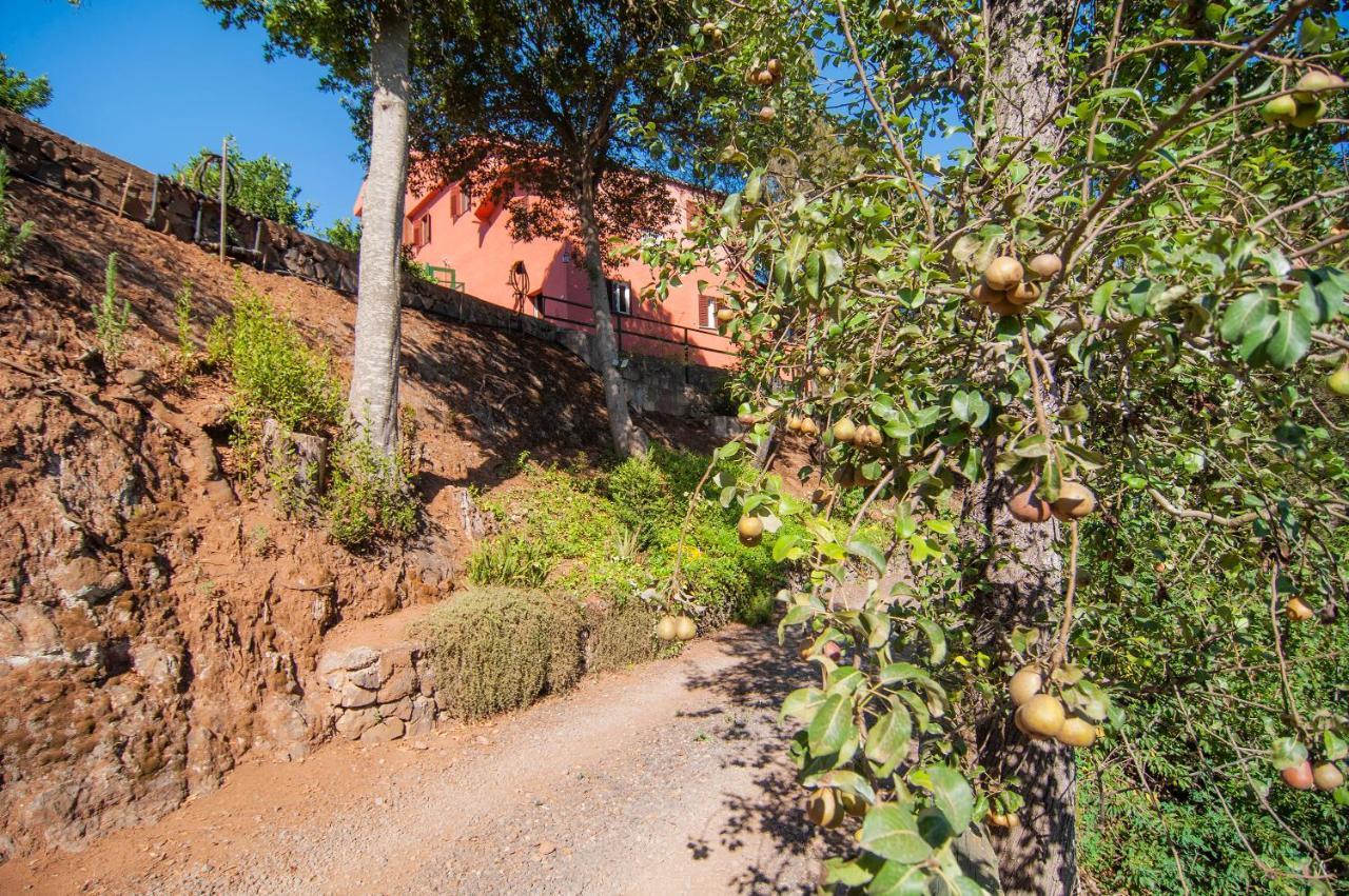 El Pastel Casa di campagna