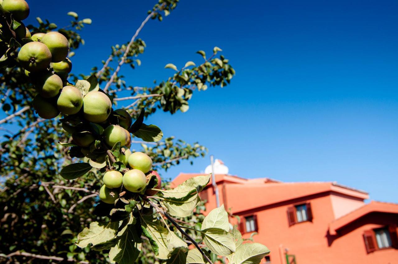 Casa di campagna El Pastel Tacoronte